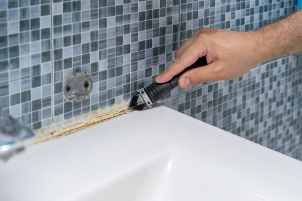 Best Post-Remediation Services in Mikes, TX