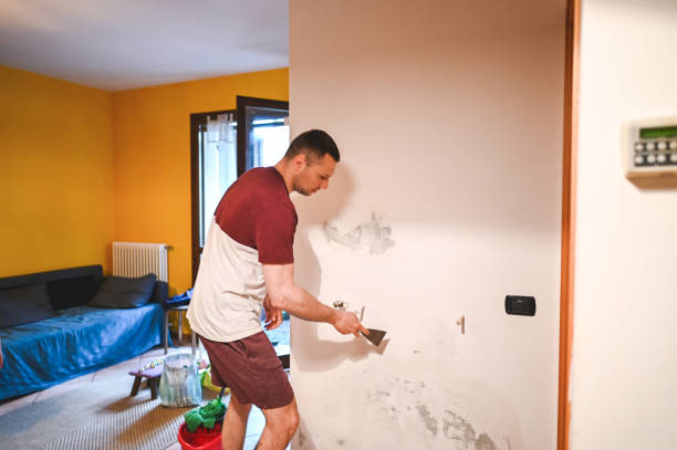 Best Mold Remediation for Specific Building Types in Mikes, TX