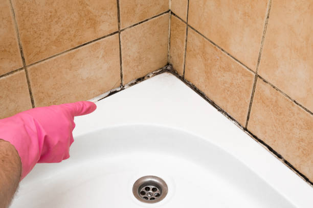 Best Mold Testing and Inspection Services in Mikes, TX